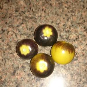 12031400_898111673611820_8551917838063809677_o