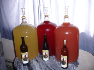 Wine aging in carboys